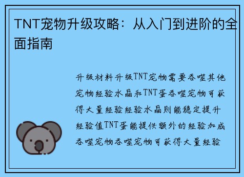 TNT宠物升级攻略：从入门到进阶的全面指南