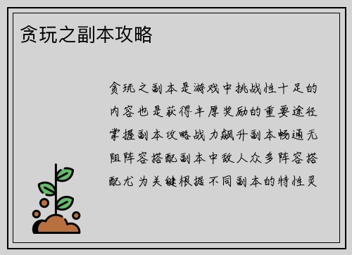 贪玩之副本攻略