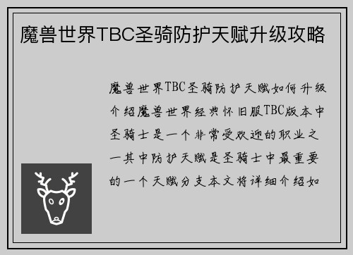 魔兽世界TBC圣骑防护天赋升级攻略